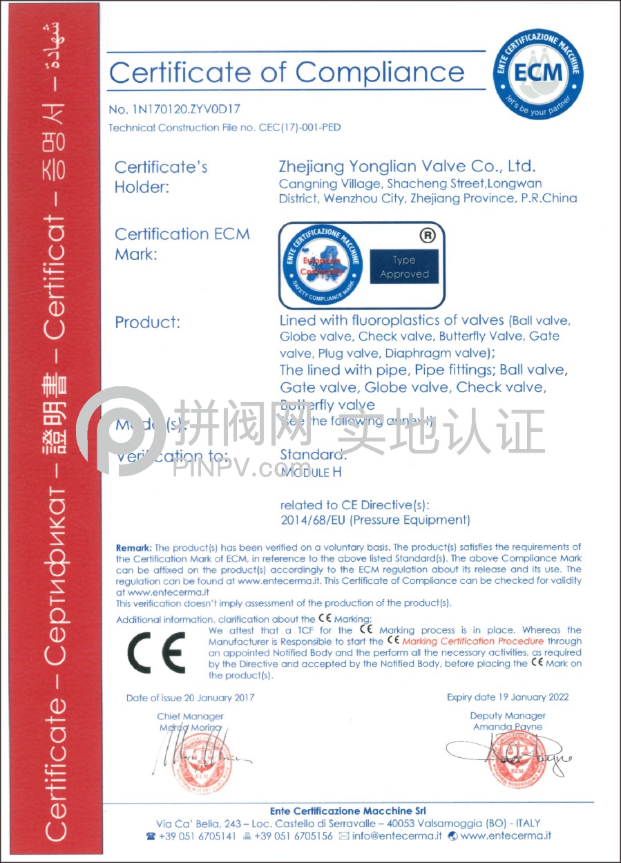 特種設備型式試驗證書 (壓力管道元件—止回閥)