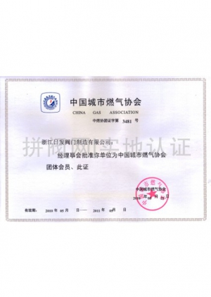 中國城市燃氣協(xié)會
